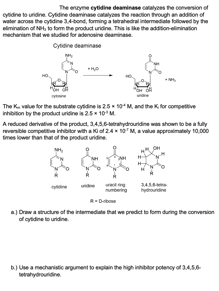 The enzyme cytidine deaminase catalyzes the conversion of
cytidine to uridine. Cytidine deaminase catalyzes the reaction through an addition of
water across the cytidine 3,4-bond, forming a tetrahedral intermediate followed by the
elimination of NH3 to form the product uridine. This is like the addition-elimination
mechanism that we studied for adenosine deaminase.
Cytidine deaminase
НО.
NH₂
N
пOH OH
cytosine
R
+ H₂O
cytidine
The Km value for the substrate cytidine is 2.5 × 10-4 M, and the K; for competitive
inhibition by the product uridine is 2.5 × 10-³ M.
N
R
A reduced derivative of the product, 3,4,5,6-tetrahydrouridine was shown to be a fully
reversible competitive inhibitor with a Ki of 2.4 x 10-7 M, a value approximately 10,000
times lower than that of the product uridine.
NH₂
NH
uridine
HO.
N
R
R = D-ribose
HOH OH
uridine
3NH
uracil ring
numbering
H
NH
H
H
+ NH3
H OH
H
3,4,5,6-tetra-
hydrouridine
a.) Draw a structure of the intermediate that we predict to form during the conversion
of cytidine to uridine.
b.) Use a mechanistic argument to explain the high inhibitor potency of 3,4,5,6-
tetrahydrouridine.