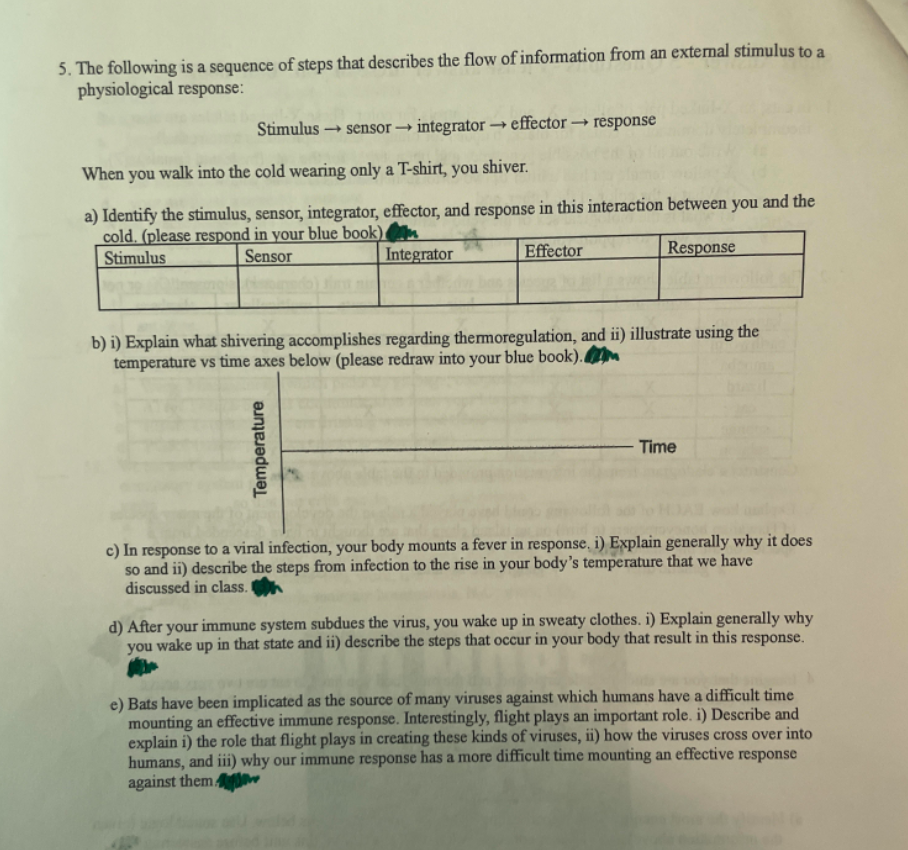 5. The following is a sequence of steps that describes the flow of information from an external stimulus to a
physiological response:
Stimulus- → sensor → integrator→ effector→→→ response
When you walk into the cold wearing only a T-shirt, you shiver.
a) Identify the stimulus, sensor, integrator, effector, and response in this interaction between you and the
cold. (please respond in your blue book)
Stimulus
Sensor
Integrator
Effector
Response
b) i) Explain what shivering accomplishes regarding thermoregulation, and ii) illustrate using the
temperature vs time axes below (please redraw into your blue book).
Time
c) In response to a viral infection, your body mounts a fever in response, i) Explain generally why it does
so and ii) describe the steps from infection to the rise in your body's temperature that we have
discussed in class.
d) After your immune system subdues the virus, you wake up in sweaty clothes. i) Explain generally why
you wake up in that state and ii) describe the steps that occur in your body that result in this response.
e) Bats have been implicated as the source of many viruses against which humans have a difficult time
mounting an effective immune response. Interestingly, flight plays an important role. i) Describe and
explain i) the role that flight plays in creating these kinds of viruses, ii) how the viruses cross over into
humans, and iii) why our immune response has a more difficult time mounting an effective response
against them 4
Temperature