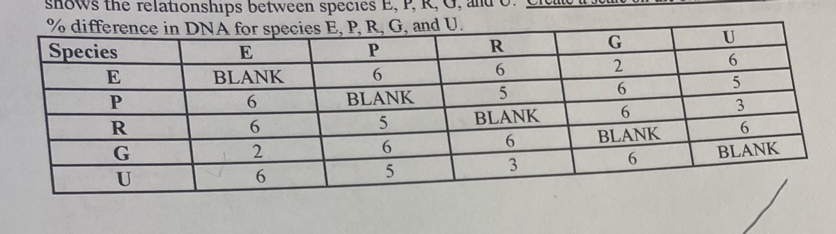 shows the relationships between species E, P,
% difference in DNA for species E, P, R, G, and U.
Species
E
G
U
E
BLANK
6.
6.
6.
BLANK
BLANK
3
G
6.
BLANK
6.
U
3
BLANK
