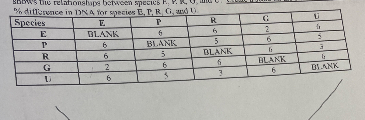 shows the relationships between species E,
% difference in DNA for species E, P, R, G, and U.
Species
E
U
E
BLANK
6.
2
6.
BLANK
6.
5
R
6.
BLANK
6.
3
6.
6.
BLANK
6.
U
6.
3
BLANK
