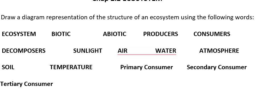 Draw a diagram representation of the structure of an ecosystem using the following words:
ECOSYSTEM
BIOTIC
ABIOTIC
PRODUCERS
CONSUMERS
DECOMPOSERS
SUNLIGHT
AIR
WATER
ATMOSPHERE
SOIL
TEMPERATURE
Primary Consumer
Secondary Consumer
Tertiary Consumer
