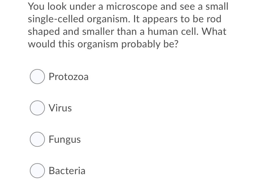 You look under a microscope and see a small
single-celled organism. It appears to be rod
shaped and smaller than a human cell. What
would this organism probably be?
O Protozoa
O Virus
O Fungus
O Bacteria
