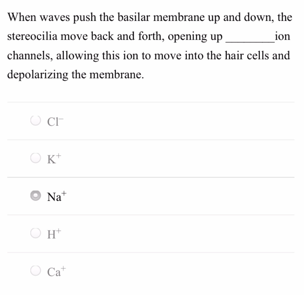 When waves push the basilar membrane up and down, the
stereocilia move back and forth, opening up
ion
channels, allowing this ion to move into the hair cells and
depolarizing the membrane.
O CF
O K*
Na+
O H*
O Ca*
Ca+
