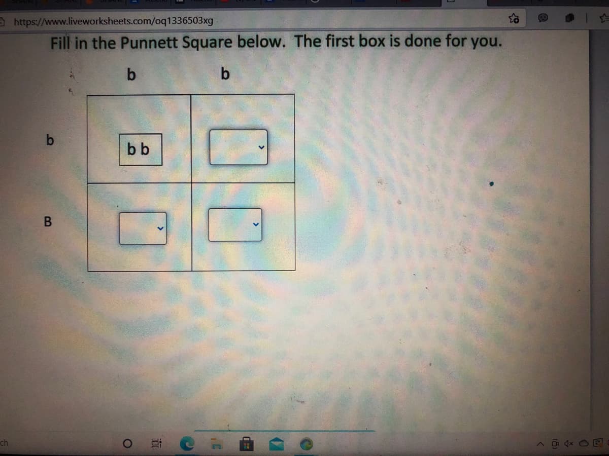 a https://www.liveworksheets.com/oq1336503xg
Fill in the Punnett Square below. The first box is done for you.
b
b
bb
ch
4x O E
近
