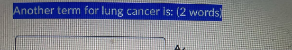 Another term for lung cancer is: (2 words)