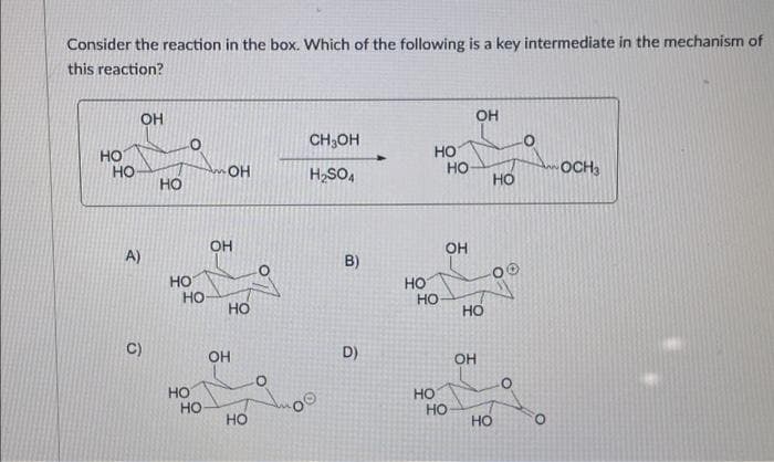 Consider the reaction in the box. Which of the following is a key intermediate in the mechanism of
this reaction?
HO
НО
OH
A)
6
НО
НО
НО
HO
НО
-OH
OH
HO
OH
HO
CH₂OH
H₂SO4
B)
D)
НО
НО
HO
HO
HO
НО
OH
ОН
HO
OH
HO
HO
OCH