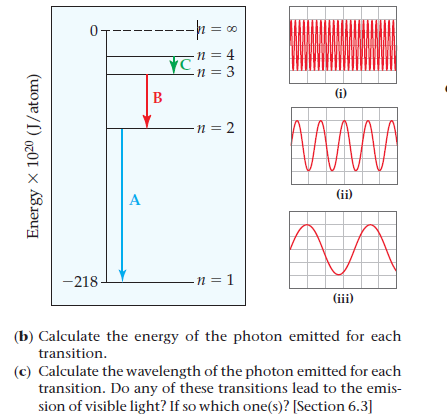 --
= 00
n = 4
Cn = 3
II
II
В
(i)
n = 2
(ii)
A
-218-
-n = 1
(iii)
(b) Calculate the energy of the photon emitted for each
transition.
(c) Calculate the wavelength of the photon emitted for each
transition. Do any of these transitions lead to the emis-
sion of visible light? If so which one(s)? [Section 6.3]
Energy
x 1020 (J/atom)

