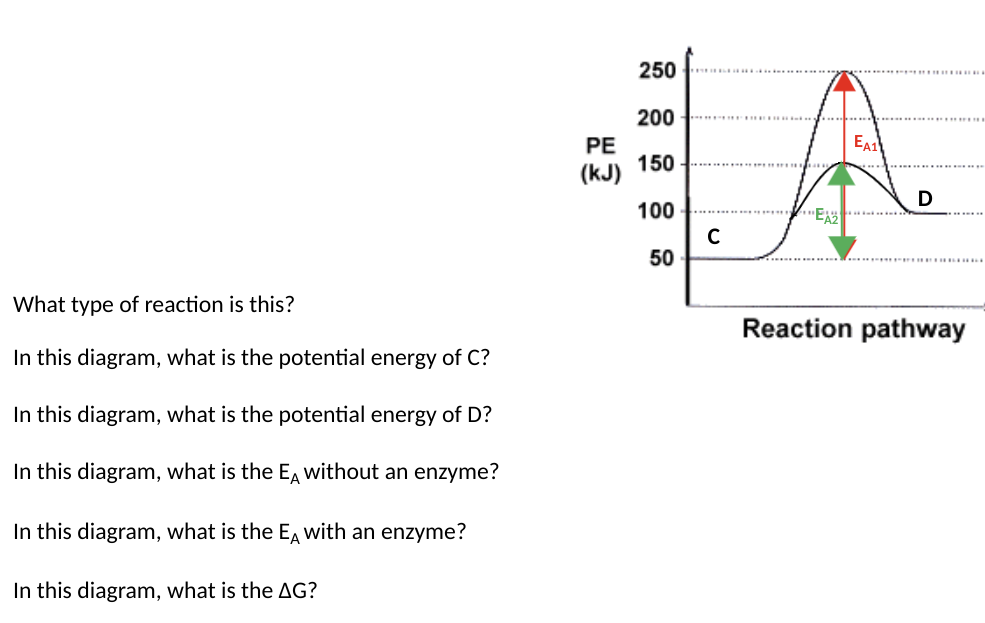 What type of reaction is this?
In this diagram, what is the potential energy of C?
In this diagram, what is the potential energy of D?
In this diagram, what is the Eд without an enzyme?
In this diagram, what is the Eд with an enzyme?
In this diagram, what is the AG?
250
200
PE
EA1
150
(kJ)
D
100
"E
с
50
Reaction pathway