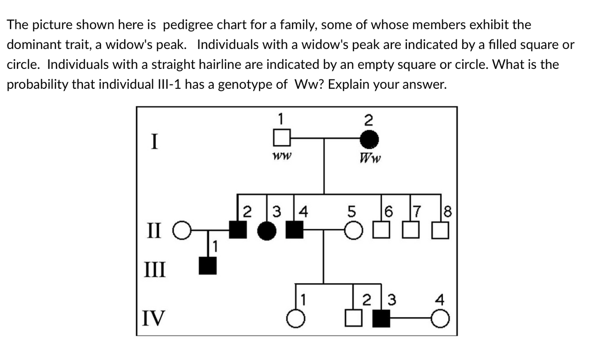 The picture shown here is pedigree chart for a family, some of whose members exhibit the
dominant trait, a widow's peak. Individuals with a widow's peak are indicated by a filled square or
circle. Individuals with a straight hairline are indicated by an empty square or circle. What is the
probability that individual IIl-1 has a genotype of Ww? Explain your answer.
1
2
I
Ww
2 3 4
6
7
8
II
1
III
1
2 3
4
IV
