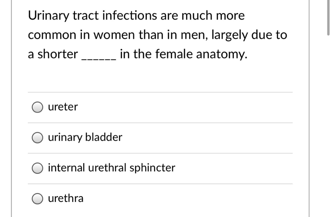 Urinary tract infections are much more
common in women than in men, largely due to
a shorter in the female anatomy.
ureter
urinary bladder
internal urethral sphincter
urethra