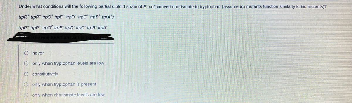 Under what conditions will the following partial diploid strain of E. coli convert chorismate to tryptophan (assume trp mutants function similarly to lac mutants)?
trpR* trpP trpO* trpE* trpD* trpC* trpB* trpA*/
trpR trpP trpO° trpE trpD trpC trpB trpA
ect the one BEST answer (2
oints!
O never
O only when tryptophan levels are low
O constitutively
O only when tryptophan is present
O only when chorismate levels are low
