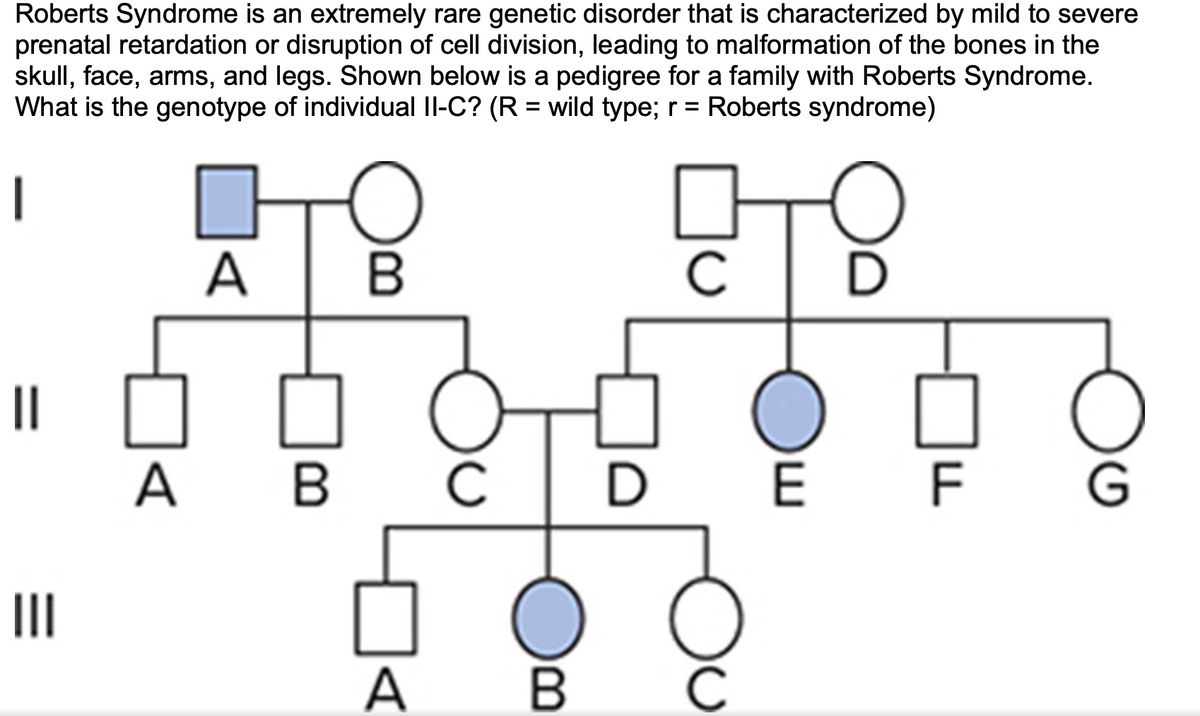 Roberts Syndrome is an extremely rare genetic disorder that is characterized by mild to severe
prenatal retardation or disruption of cell division, leading to malformation of the bones in the
skull, face, arms, and legs. Shown below is a pedigree for a family with Roberts Syndrome.
What is the genotype of individual II-C? (R = wild type; r = Roberts syndrome)
|
A
II
A B
C
F
II
A
