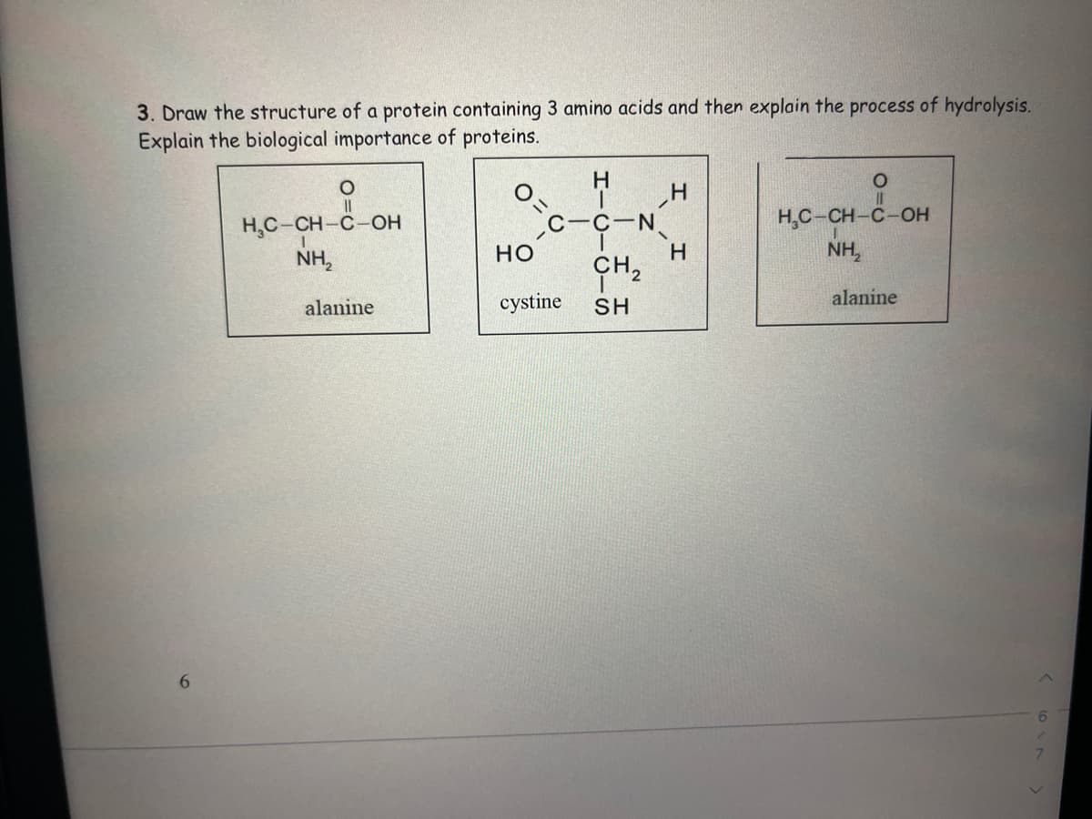 3. Draw the structure of a protein containing 3 amino acids and then explain the process of hydrolysis.
Explain the biological importance of proteins.
O
H
O
H
||
||
H₂C-CH-C-OH
-C-N
H₂C-CH-C-OH
NH₂
NH₂
HO
CH₂
alanine
cystine
SH
alanine
6
H
6