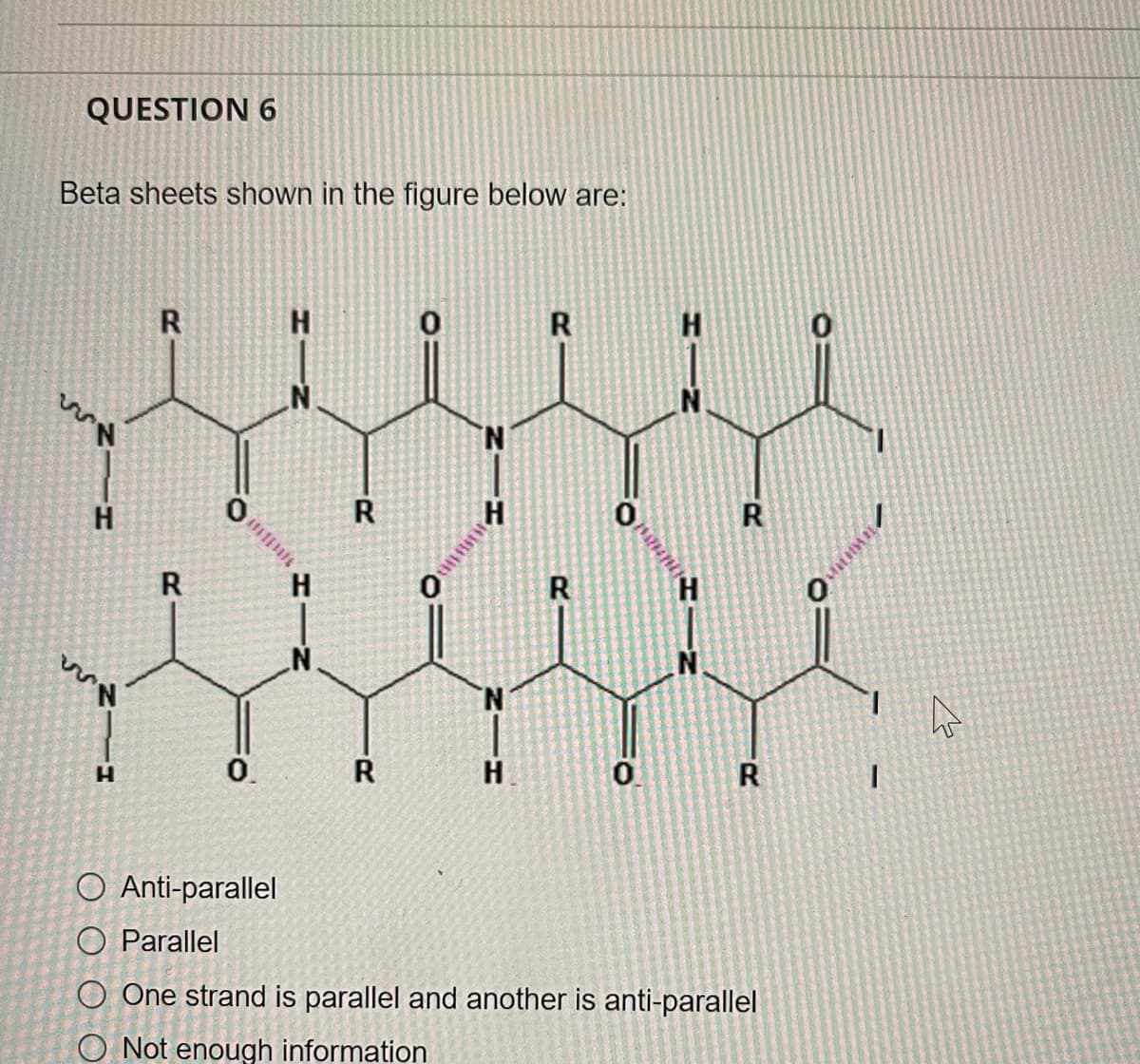 QUESTION 6
Beta sheets shown in the figure below are:
H.
R
N.
1.
H.
R
R
H
N.
H
0.
R
H.
R
O Anti-parallel
O Parallel
O One strand is parallel and another is anti-parallel
O Not enough information
HIN

