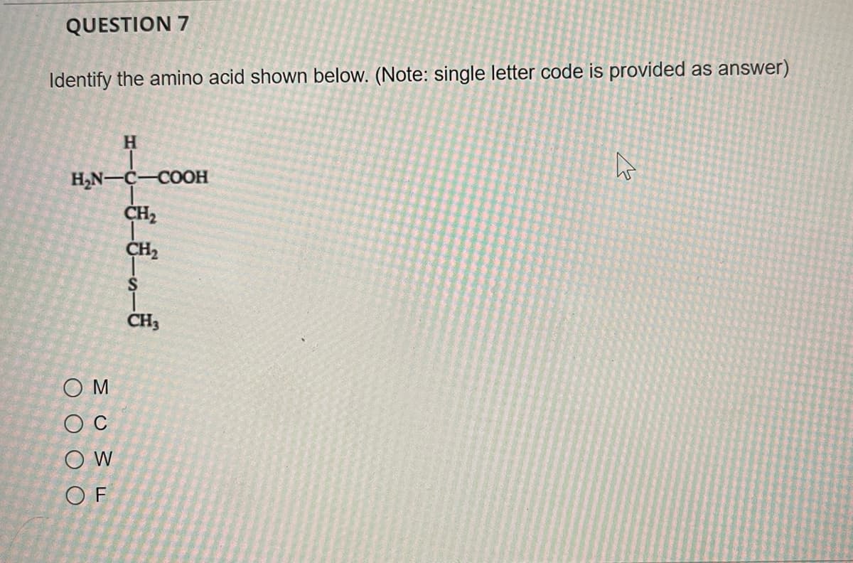 QUESTION 7
Identify the amino acid shown below. (Note: single letter code is provided as answer)
H
H,N-C-COOH
CH2
CH2
CH3
O M
O C
O W
O F
