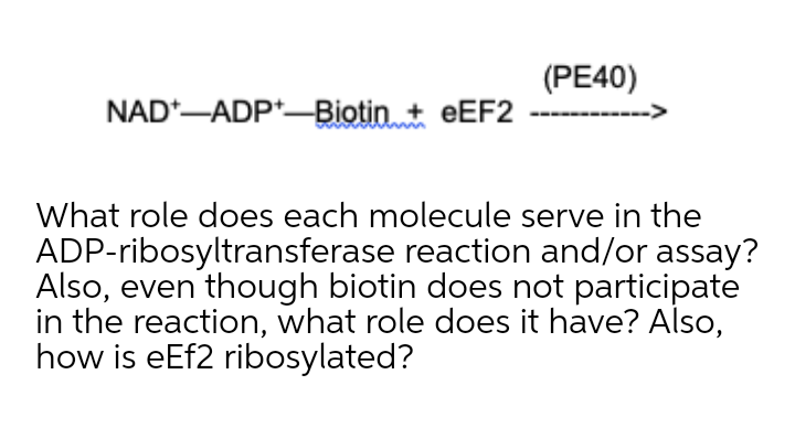 (PE40)
NAD*-ADP*-Biotin + EEF2
-------->
What role does each molecule serve in the
ADP-ribosyltransferase reaction and/or assay?
Also, even though biotin does not participate
in the reaction, what role does it have? Also,
how is eEf2 ribosylated?
