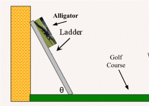 Alligator
Ladder
Golf
Course
