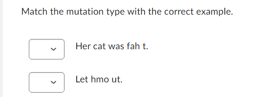 Match the mutation type with the correct example.
Her cat was fah t.
Let hmo ut.