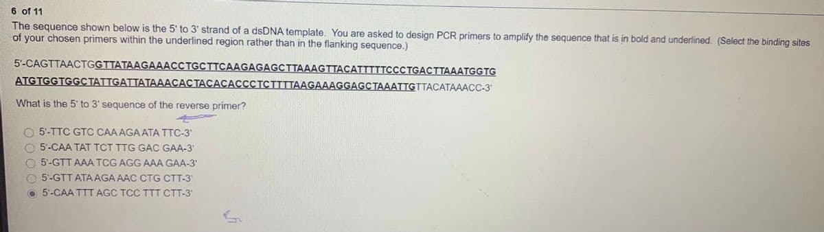 6 of 11
The sequence shown below is the 5' to 3' strand of a dsDNA template. You are asked to design PCR primers to amplify the sequence that is in bold and underlined. (Select the binding sites
of your chosen primers within the underlined region rather than in the flanking sequence.)
5'-CAGTTAACTGGTTATAAGAAACCTGCTTCAAGAGAGCTTAAAGTTACATTTTTCCCTGACTTAAATGG TG
ATGTGGTGGCTATTGATTATAAACACTACÃCACCCTCTTTTAAGAAAGGAGC TAAATTGTTACATAAACC-3'
What is the 5' to 3' sequence of the reverse primer?
O 5-TTC GTC CAA AGA ATA TTC-3'
O 5-CAA TAT TCT TTG GAC GAA-3'
5'-GTT AAA TCG AGG AAA GAA-3'
O 5-GTT ATA AGA AAC CTG CTT-3
O 5'-CAA TTT AGC TCC TTT CTT-3'
