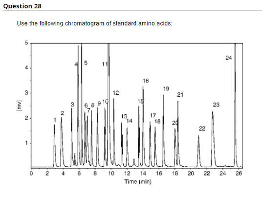 Question 28
Use the following chromatogram of standard amino acids:
24
11
16
19
3
12
21
15
6. 8 9 19
23
17
13
14
18
20
22
10
12
14
16
18
20
22
24
26
Time (min)
[Au)
