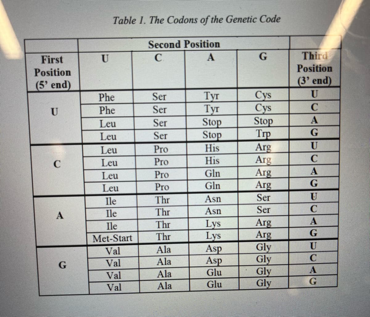 First
Position
(5' end)
U
C
A
G
U
Table 1. The Codons of the Genetic Code
Second Position
C
A
Phe
Phe
Leu
Leu
Leu
Leu
Leu
Leu
Ile
Ile
Ile
Met-Start
Val
Val
Val
Val
Ser
Ser
Ser
Ser
Pro
Pro
Pro
Pro
Thr
Thr
Thr
Thr
Ala
Ala
Ala
Ala
Tyr
Tyr
Stop
Stop
His
His
Gln
Gln
Asn
Asn
Lys
Lys
Asp
Asp
Glu
Glu
G
Cys
Cys
Stop
Trp
Arg
Arg
Arg
Arg
Ser
Ser
Arg
Arg
Gly
Gly
Gly
Gly
Third
Position
(3' end)
U
C
A
G
U
C
A
G
U
C
A
G
U
C
A
G