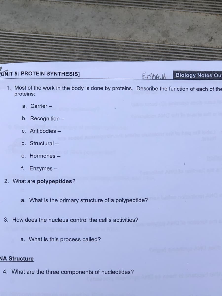UNIT 5: PROTEIN SYNTHESIS]
Eryka.1 Biology Notes Out
1. Most of the work in the body is done by proteins. Describe the function of each of the
proteins:
a. Carrier -
b. Recognition -
c. Antibodies -
d. Structural -
e. Hormones -
f. Enzymes -
2. What are polypeptides?
a. What is the primary structure of a polypeptide?
3. How does the nucleus control the cell's activities?
a. What is this process called?
NA Structure
4. What are the three components of nucleotides?