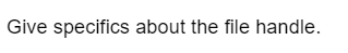 Give specifics about the file handle.