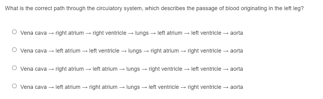 What is the correct path through the circulatory system, which describes the passage of blood originating in the left leg?
O Vena cava → right atrium → right ventricle → lungs → left atrium → left ventricle → aorta
O Vena cava → left atrium → left ventricle → lungs → right atrium → right ventricle → aorta
O Vena cava →
right atrium → left atrium → lungs → right ventricle → left ventricle → aorta
O Vena cava → left atrium → right atrium → lungs → left ventricle → right ventricle → aorta
