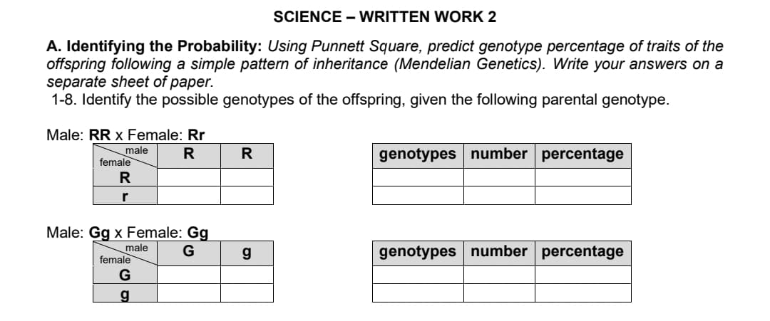 SCIENCE - WRITTEN WORK 2
A. Identifying the Probability: Using Punnett Square, predict genotype percentage of traits of the
offspring following a simple pattern of inheritance (Mendelian Genetics). Write your answers on a
separate sheet of paper.
1-8. Identify the possible genotypes of the offspring, given the following parental genotype.
Male: RR x Female: Rr
male
R
R
genotypes number percentage
female
R
r
Male: Gg x Female: Gg
G
male
g
genotypes number percentage
female
G
g