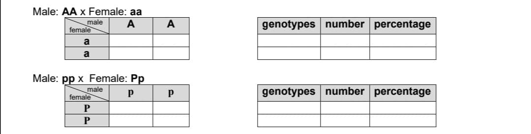 Male: AA x Female: aa
male
A
female
a
a
Male: pp x Female: Pp
male
P
female
P
P
A
P
genotypes number percentage
genotypes number percentage