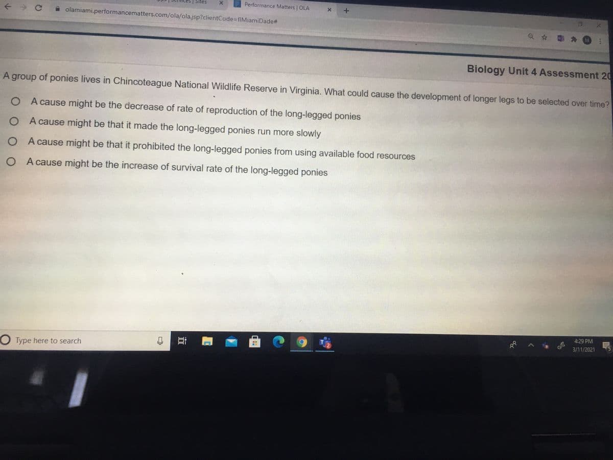 | Sites
Performance Matters | OLA
olamiami.performancematters.com/ola/ola.jsp?clientCode-fIMiamiDade#
Biology Unit 4 Assessment 20
A group of ponies lives in Chincoteague National Wildlife Reserve in Virginia. What could cause the development of longer legs to be selected over time?
O A cause might be the decrease of rate of reproduction of the long-legged ponies
O A cause might be that it made the long-legged ponies run more slowly
O A cause might be that it prohibited the long-legged ponies from using available food resources
O A cause might be the increase of survival rate of the long-legged ponies
4:29 PM
民
3/11/2021
O Type here to search
