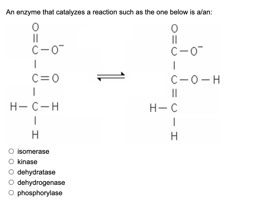 An enzyme that catalyzes a reaction such as the one below is alan:
||
C-0
||
C-0
C=0
С —о — Н
I|
Н-С—Н
H- C
H
H
isomerase
O kinase
O dehydratase
O dehydrogenase
O phosphorylase
O - I
