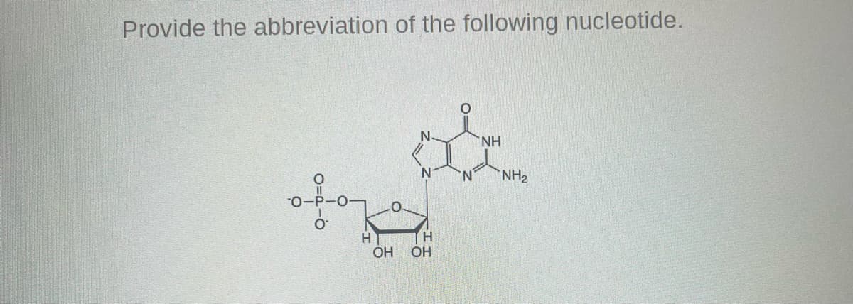 Provide the abbreviation of the following nucleotide.
N N
ofe
H
H
OH OH
NH
NH₂