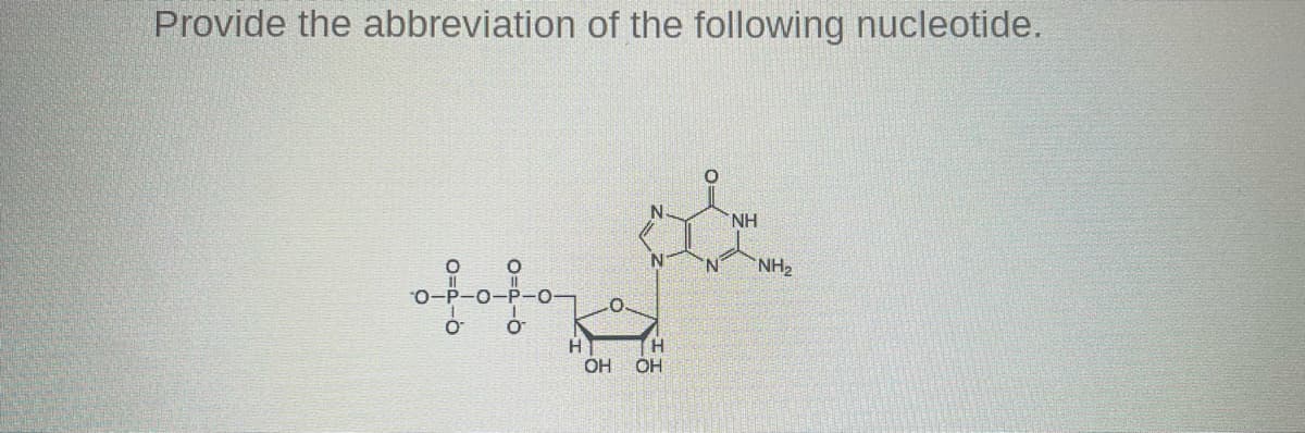 Provide the abbreviation of the following nucleotide.
obotoza
H
N
N
H
OH OH
N
NH
NH₂