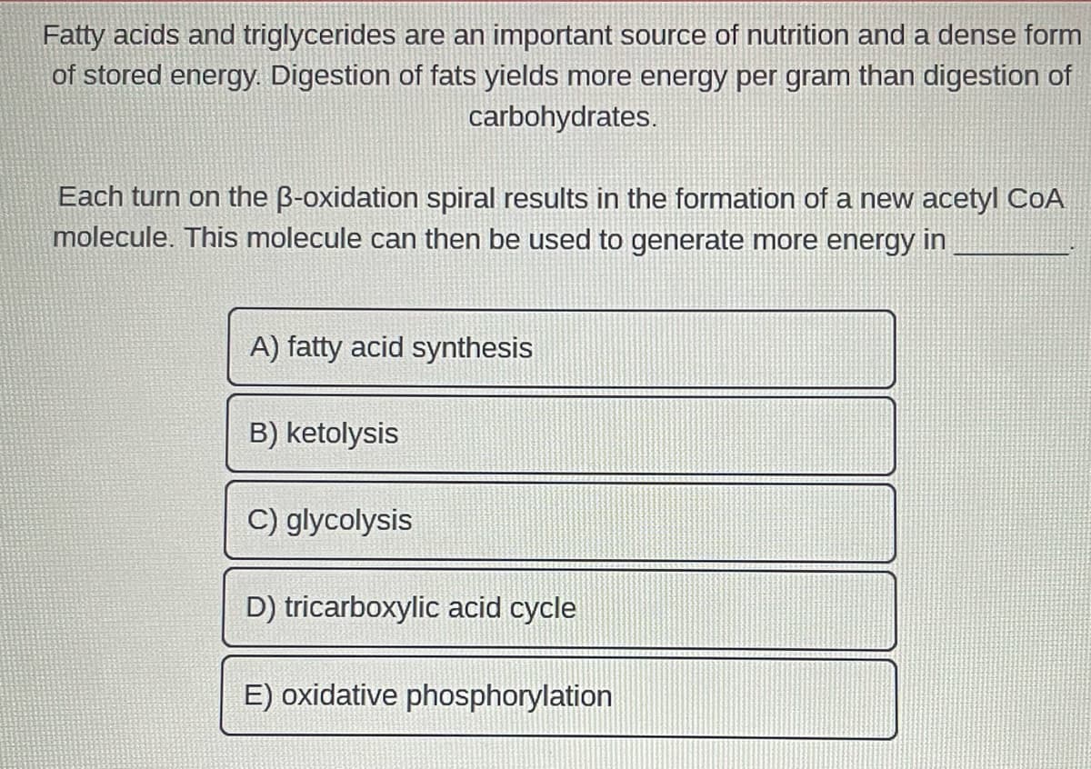 Fatty acids and triglycerides are an important source of nutrition and a dense form
of stored energy. Digestion of fats yields more energy per gram than digestion of
carbohydrates.
Each turn on the B-oxidation spiral results in the formation of a new acetyl COA
molecule. This molecule can then be used to generate more energy in
A) fatty acid synthesis
B) ketolysis
C) glycolysis
D) tricarboxylic acid cycle
E) oxidative phosphorylation