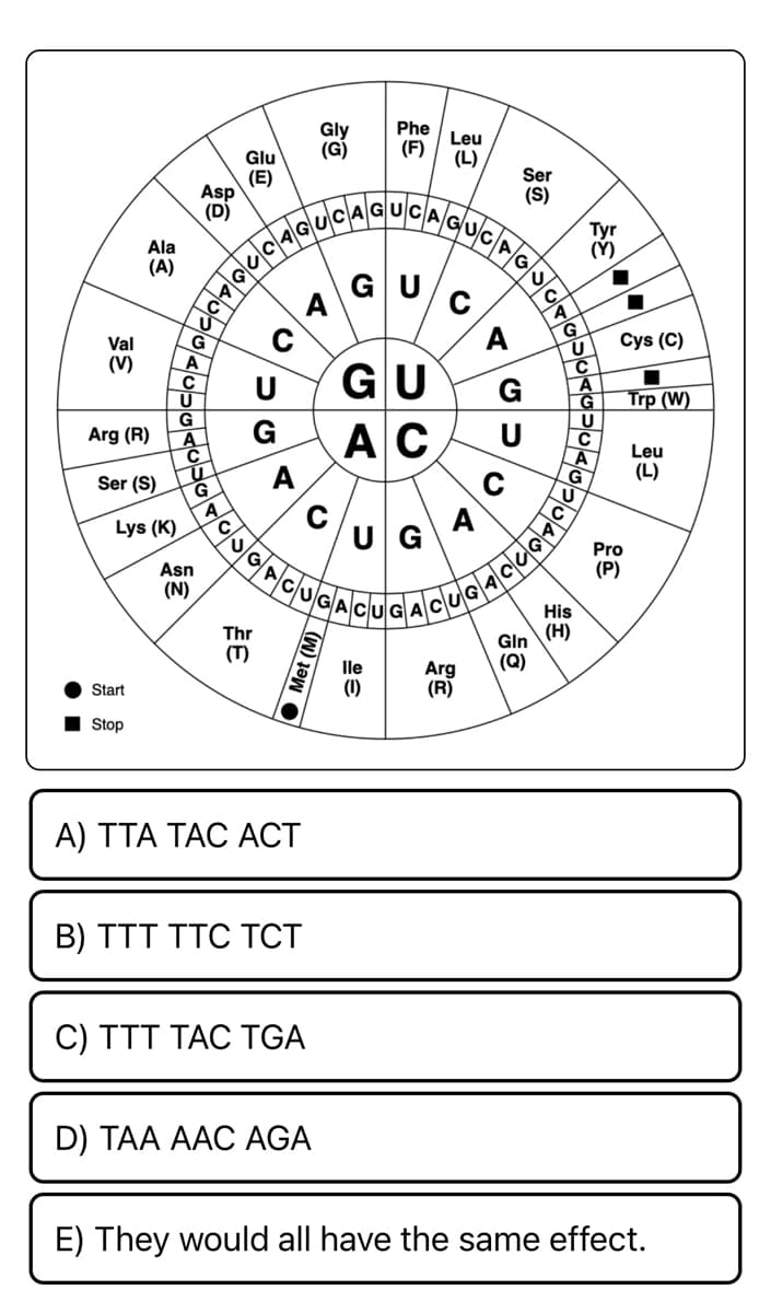 Val
(V)
Ala
(A)
Arg (R)
Ser (S)
Start
Stop
Lys (K)
Asp
(D)
A
C
U
G
A
U
G
Asn
(N)
A
Glu
(E)
opblocchqudag
с
U
ט|כ
G
Thr
(T)
A
A
Gly
A) TTA TAC ACT
Met (M)
B) TTT TTC TCT
T
C) TTT TAC TGA
U
UGACUGA
D) TAA AAC AGA
Phe
(F)
GU
GU
AC
UG
Leu
(L)
C
BUCAG
Arg
A
Ser
(S)
GU
G
U
U
C
A
G
Tyr
(Y)
U
C
A
G
His
Gin (H)
(Q)
U
C
A
-
I
Cys (C)
Pro
(P)
GACUGACLODOCO
Trp (W)
Leu
(L)
E) They would all have the same effect.