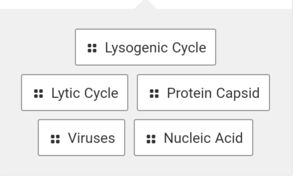 : Lysogenic Cycle
:: Lytic Cycle
:: Protein Capsid
:: Viruses
:: Nucleic Acid
