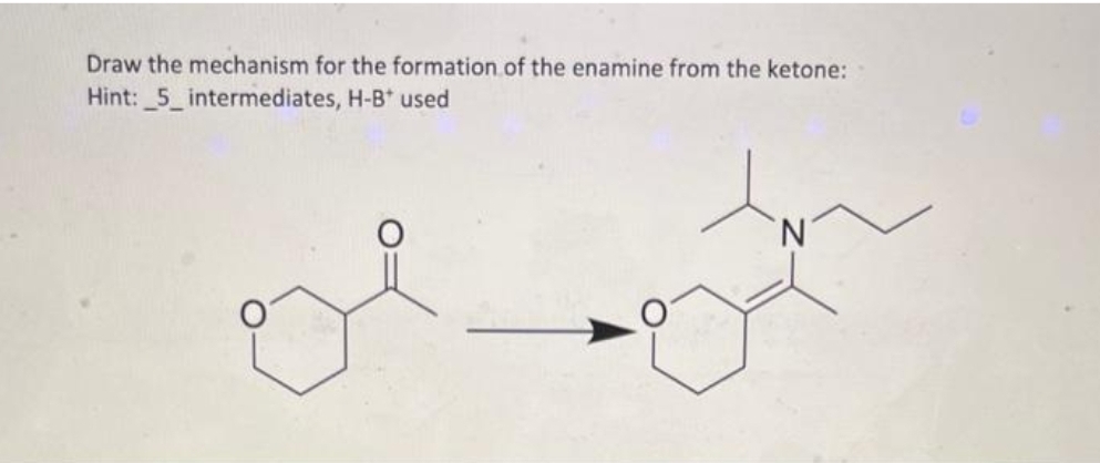 Draw the mechanism for the formation of the enamine from the ketone:
Hint: _5_intermediates,
H-B* used