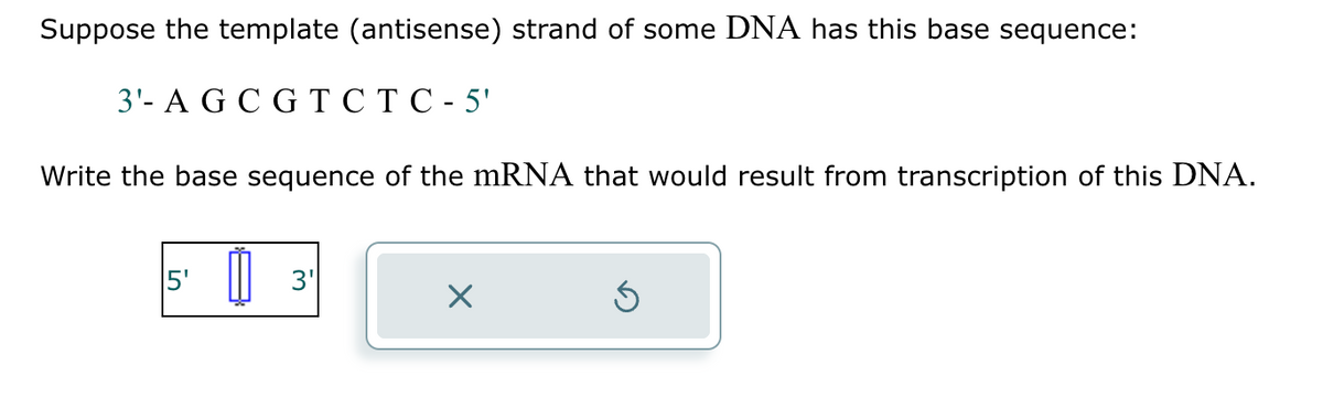 Suppose the template (antisense) strand of some DNA has this base sequence:
3'- A G C GTCTC-5'
Write the base sequence of the mRNA that would result from transcription of this DNA.
5'
3'
Ś