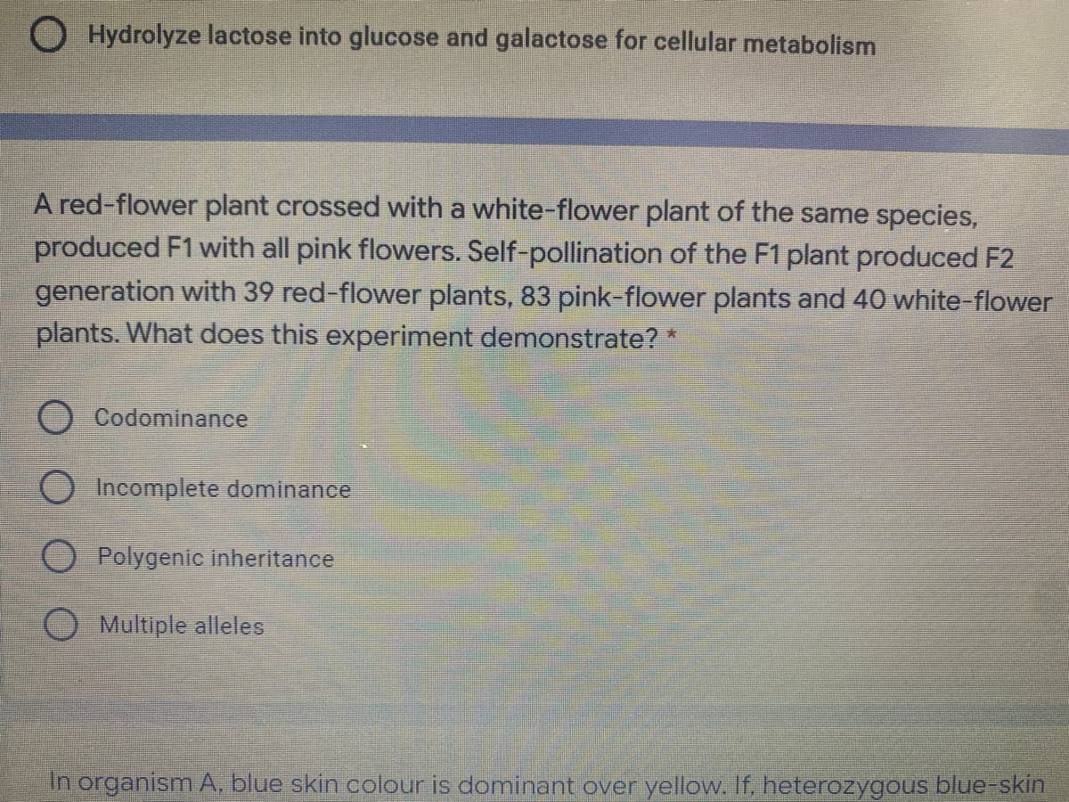 O Hydrolyze lactose into glucose and galactose for cellular metabolism
A red-flower plant crossed with a white-flower plant of the same species,
produced F1 with all pink flowers. Self-pollination of the F1 plant produced F2
generation with 39 red-flower plants, 83 pink-flower plants and 40 white-flower
plants. What does this experiment demonstrate? *
Codominanoce
O Incomplete dominance
O Polygenic inheritance
Multiple alleles
In organism A, blue skin colour is dominant over yellow. If, heterozygous blue skin
