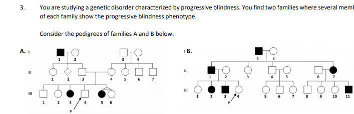3.
You are studying a genetic disorder characterized by progressive blindness. You find two families where several memi
of each family show the progressive blindness phenotype.
Consider the pedigrees of families A and B below:
A. I
IB.
1
2
6
3
6
6
9
10
11
