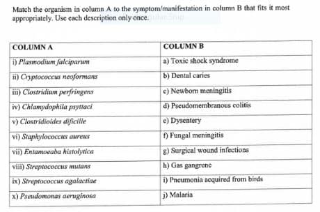 Match the organism in column A to the symptom/manifestation in column B that fits it most
appropriately. Use each description only once.lar
COLUMN A
COLUMN B
i) Plasmodium falciparum
a) Toxic shock syndrome
ii) Cryptococcus neoformans
b) Dental caries
c) Newbom meningitis
i) Clostridium perfringens
iv) Chlamydophila psyttaci
d) Pseudomembranous colitis
v) Clostridioides dificille
c) Dysentery
vi) Staphylococcus aureus
) Fungal meningitis
vii) Entamoeaba histolytica
8) Surgical wound infections
viii) Sireptococcus mutans
h) Gas gangrene
ix) StreptococcuS agalactiae
i) Pneumonia acquired from birds
x) Pseudomonas aeruginosa
j) Malaria
