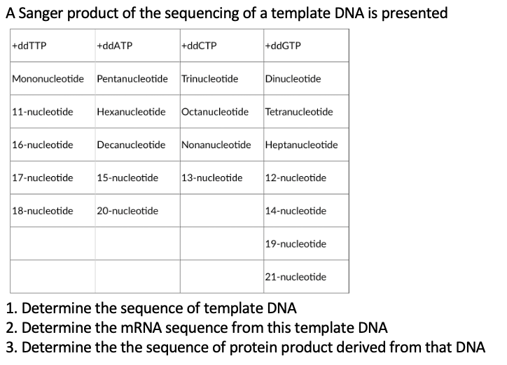 A Sanger product of the sequencing of a template DNA is presented
+ddTTP
+ddATP
+ddCTP
+ddGTP
Mononucleotide Pentanucleotide Trinucleotide
Dinucleotide
11-nucleotide
Hexanucleotide Octanucleotide Tetranucleotide
16-nucleotide
Decanucleotide Nonanucleotide Heptanucleotide
17-nucleotide
15-nucleotide
13-nucleotide
12-nucleotide
18-nucleotide
20-nucleotide
14-nucleotide
19-nucleotide
21-nucleotide
1. Determine the sequence of template DNA
2. Determine the mRNA sequence from this template DNA
3. Determine the the sequence of protein product derived from that DNA
