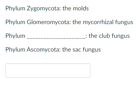 Phylum Zygomycota: the molds
Phylum Glomeromycota: the mycorrhizal fungus
Phylum
: the club fungus
Phylum Ascomycota: the sac fungus