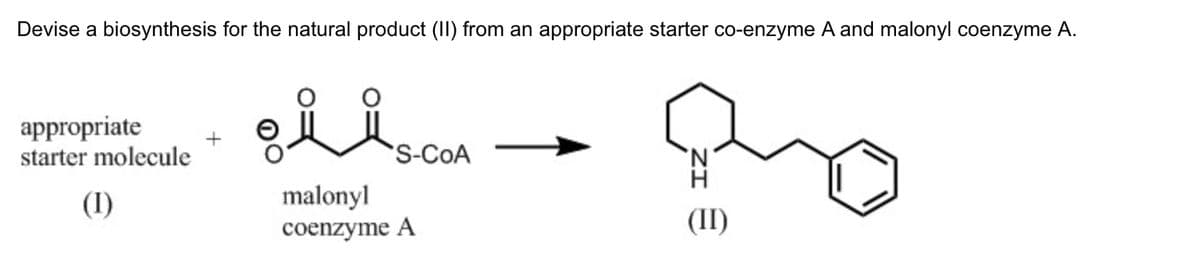 Devise a biosynthesis for the natural product (II) from an appropriate starter co-enzyme A and malonyl coenzyme A.
appropriate
starter molecule
(I)
+
OiiS.COM
malonyl
coenzyme A
→
'N
(II)