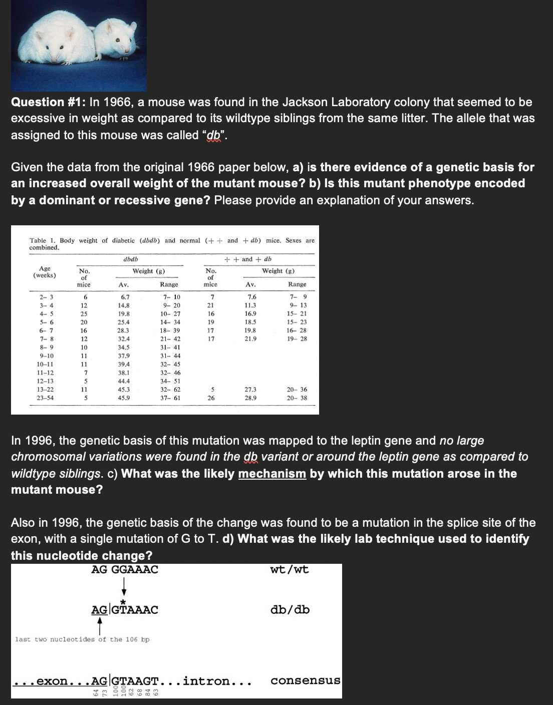 Question #1: In 1966, a mouse was found in the Jackson Laboratory colony that seemed to be
excessive in weight as compared to its wildtype siblings from the same litter. The allele that was
assigned to this mouse was called "db".
Given the data from the original 1966 paper below, a) is there evidence of a genetic basis for
an increased overall weight of the mutant mouse? b) Is this mutant phenotype encoded
by a dominant or recessive gene? Please provide an explanation of your answers.
Table 1. Body weight of diabetic (dbdb) and normal (++ and + db) mice. Sexes are
combined.
Age
(weeks)
2-3
3- 4
4-5
5-6
6-7
7-8
8-9
9-10
10-11
11-12
12-13
13-22
23-54
No.
of
mice.
6
12
25
20
16
12
10
11
11
7
5
11
5
dbdb
Av.
6.7
14.8
19.8
25.4
28.3
32.4
34.5
37.9
39,4
38.1
44.4
45.3
45.9
Weight (g)
AG GTAAAC
Range
7- 10
9- 20
last two nucleotides of the 106 bp
10- 27
14- 34
18-39
21-42
31-41
31-44
BONBO
32- 45
32-46
34-51
32- 62
37-61
No.
of
mice
7
21
16
19
17
17
5
26
++and+ db
Av.
7.6
11.3
16.9
18.5
19.8
21.9
27.3
28.9
In 1996, the genetic basis of this mutation was mapped to the leptin gene and no large
chromosomal variations were found in the db variant or around the leptin gene as compared to
wildtype siblings. c) What was the likely mechanism by which this mutation arose in the
mutant mouse?
Weight (g)
Also in 1996, the genetic basis of the change was found to be a mutation in the splice site of the
exon, with a single mutation of G to T. d) What was the likely lab technique used to identify
this nucleotide change?
AG GGAAAC
...exon...AG GTAAGT...intron...
Range
7-9
9- 13
15- 21
15- 23
16-28
19- 28
20-36
20-38
wt/wt
db/db
consensus