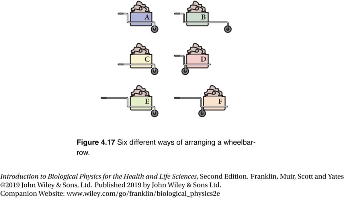 Al
C
E
B
D
4
F
Figure 4.17 Six different ways of arranging a wheelbar-
row.
Introduction to Biological Physics for the Health and Life Sciences, Second Edition. Franklin, Muir, Scott and Yates
©2019 John Wiley & Sons, Ltd. Published 2019 by John Wiley & Sons Ltd.
Companion Website: www.wiley.com/go/franklin/biological_physics2e