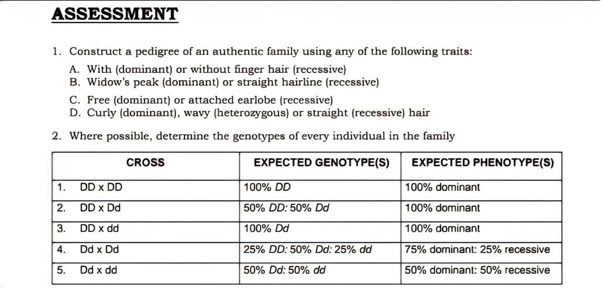 ASSESSMENT
1. Construct a pedigree of an authentic family using any of the following traits:
A. With (dominant) or without finger hair (recessive)
B. Widow's peak (dominant) or straight hairline (recessive)
C. Free (dominant) or attached earlobe (recessive)
D. Curly (dominant), wavy (heterozygous) or straight (recessive) hair
2. Where possible, determine the genotypes of every individual in the family
CROSS
EXPECTED GENOTYPE(S)
EXPECTED PHENOTYPE(S)
1.
DD x DD
100% DD
100% dominant
2.
DD x Dd
50% DD: 50% Dd
100% dominant
3.
DD x dd
100% Dd
100% dominant
4.
Dd x Dd
25% DD: 50% Dd: 25% dd
75% dominant: 25% recessive
5.
Dd x dd
50% Dd: 50% dd
50% dominant: 50% recessive

