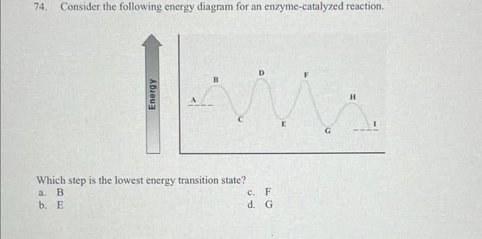 74. Consider the following energy diagram for an enzyme-catalyzed reaction.
Energy
B
C
Which step is the lowest energy transition state?
a.
B
b. E
D
c. F
d. G
E
F
G
H