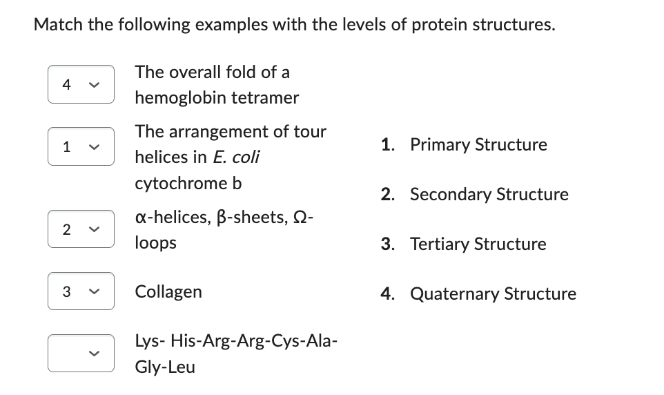 Match the following examples with the levels of protein structures.
The overall fold of a
hemoglobin tetramer
1
2
3
>
The arrangement of tour
helices in E. coli
cytochrome b
x-helices, B-sheets, Q-
loops
Collagen
Lys- His-Arg-Arg-Cys-Ala-
Gly-Leu
1. Primary Structure
2. Secondary Structure
3. Tertiary Structure
4. Quaternary Structure
